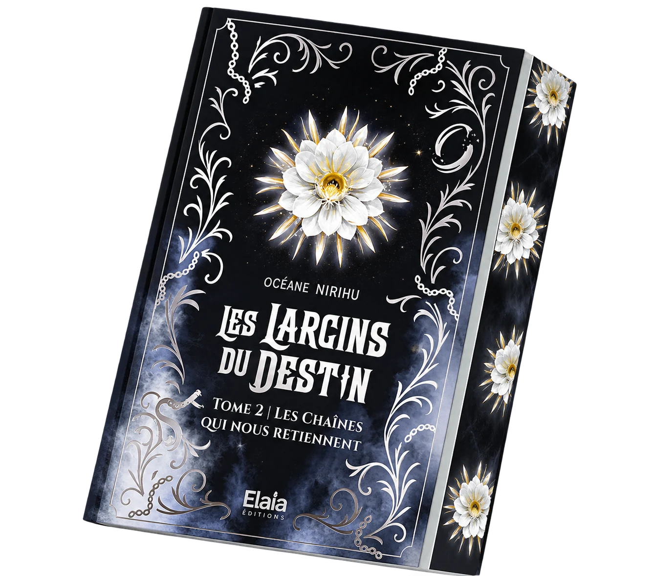 Les Larcins du Destin - Les Chaînes qui nous retiennent