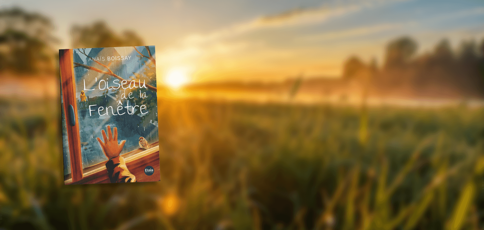 L'Oiseau de la Fenêtre | Anaïs Boissay