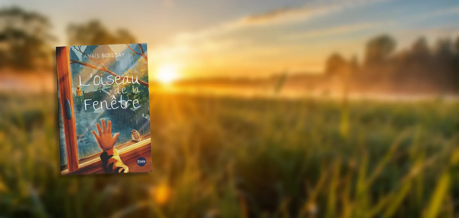 L'Oiseau de la Fenêtre | Anaïs Boissay