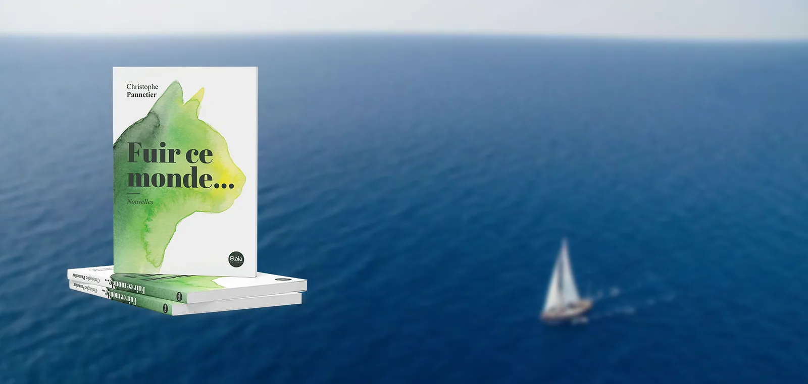 Fuir ce monde... | Christophe Pannetier