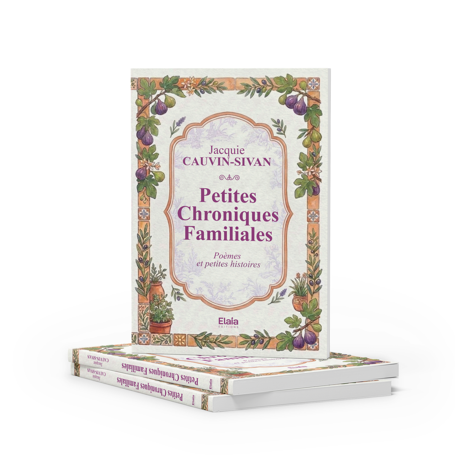 Petites Chroniques Familiales – Image 3